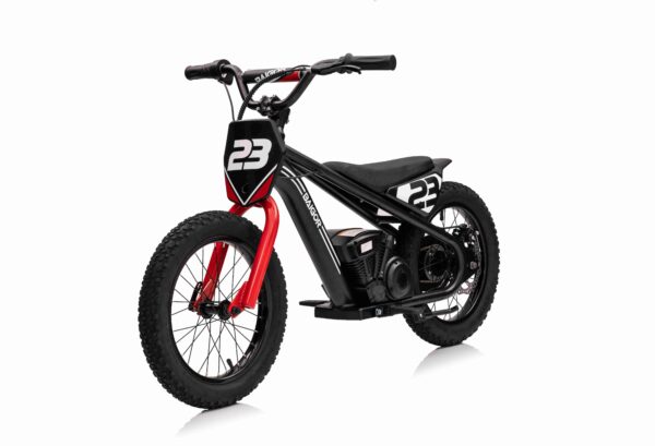 Naslovnica 41 Motor BAIGOR 23 PRO crni